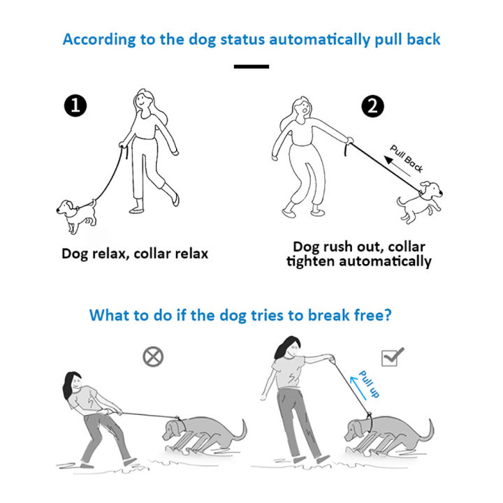 dog-collar-training-anti-choking-choker-walks-for-small-medium-large-dog-accessories-supplies-things-french-bulldog-pitbull