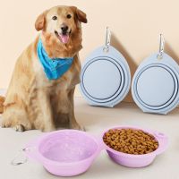 Foldable Dog Bowl Silicone Double Bowl Puppy Food Container Healthy Safety Pet Travel Drinking Bowl for Dogs Cat Feeder Dish