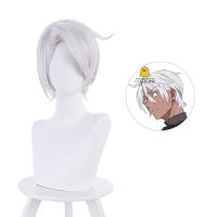 Anime Vanitas no Karte Noe Archiviste Cosplay Wig Short Silver White Wig  NEW The Case Study of Vanitas Heat-resistant Hair