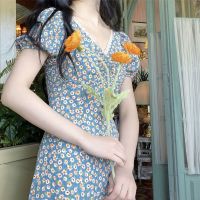 AimeiBeauty Korean blue v-neck puff sleeve floral dress