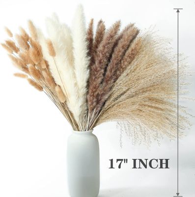 【cw】100 PCS Dried Pampas Grass ,Contains Bunny Tails Dried Flowers,Reed Grass Bouquet for Wedding Boho Flowers Home Table Decor