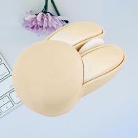 Wireless Mute Mouse - The Cute and Practical Office/Laptop Companion for Girls in Adorable Rabbit Shape Basic Mice