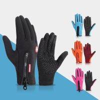 hotx【DT】 Warm Cycling Gloves High-quality Men  Windproof Motorcycle Fishing Touchscreen Ski