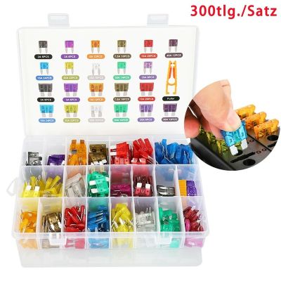 300Pcs Car Blade Fuse Assortment Kit Auto Truck Automotive Motorcycle Circuit Fuse Medium Small Fuse Mixed with Box LED Strip Lighting