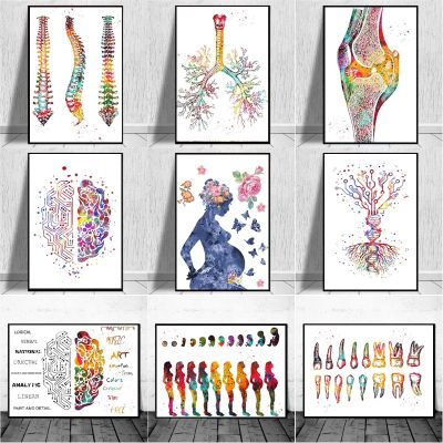 Human Anatomy Muscles System Wall Art ภาพวาดผ้าใบโปสเตอร์และภาพพิมพ์ Body Map ภาพผนัง Medical Education Clinic Decor