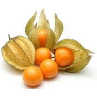 20 เมล็ดพันธุ์ เมล็ด เคพกูสเบอร์รี่ บางคนเรียกว่า “โทงเทงฝรั่ง” Cape Gooseberry Seed อัตราการงอก 80-85%