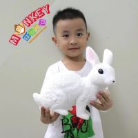 Monkey Toys - โมเดลสัตว์ Rabbit กระต่าย ขนาด 24.50 CM แบบนิ่ม (จากหาดใหญ่)