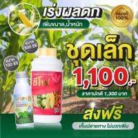 ปุ๋ยน้ำ ซีโฟ 500 (CC) + เอฟอช (100CC) ชุดเล็ก ปุ๋ยเคมีจอมยุทธ์ ธาตุอาหารรอง ขั้วแน่น ลดการหลุดร่วง ป้องกันผลแตก