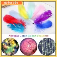 GOTORADE 50ชิ้นแฟชั่นเครื่องประดับงานแต่งงาน DIY สีธรรมชาติขนห่านเครื่องแต่งกายตกแต่งที่มีสีสันขนนกตกแต่งบ้าน