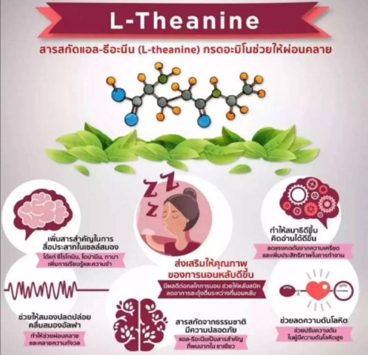 ส่งฟรี-นอนไม่หลับ-ครายเครียด-หลับยาก-ตื่นบ่อย-แอล-ธีอะนีน-50-อาหารเสริม-แอล-ธีอะนินา-กิฟฟารีน