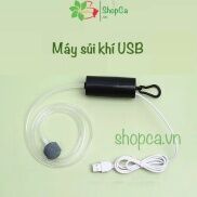 Trọn bộ máy sủi oxy mini kết nối USB