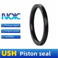 Japan NOK oil seal ring USH-12 14 16 18 20 22 22.4 24 25 27 28A-30/31.5/32/35/35.5A/36/40/45A