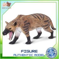 Safari Ltd : SFR100126 โมเดล Hyaneodon Gigas Model Action Figure Cartoon แอกชั่น ฟิกเกอร์ ของเล่น ของสะสม ของเล่นเด็ก ตุ๊กตา Mamy and Buddy