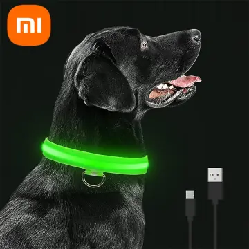 Xiaomi dog hot sale collar