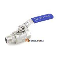 1/2" Male NPT 2-piece Ball Valve  Stainless Steel 316  Wholesale and Retail