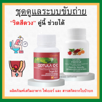 (ส่งฟรี) ชุดอาหารเสริม ริดสีดวง สารสกัดจากใบบัวบก และ ไฟเบอร์ GOTURA C-E &amp; FIBERINE