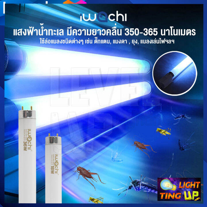 แพ็ค-25-หลอด-หลอดนีออนฟลูออเรสเซ้นทร์-iwachi-18w-หลอดไฟล่อแมงดาหลอดไฟ-black-light-white-หลอดไฟแบล็คไลท์ขาว-หลอดสีขาว-แสงสีฟ้าน้ำทะเล-หลอดสั้น-60-cm