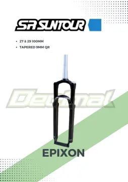 Epixon discount fork 29