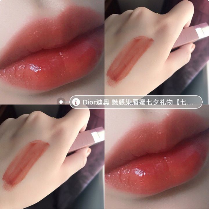 Son Kem Dior Lip Tattoo 541 Natural Sienna  Ðỏ Ðất