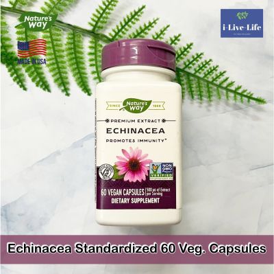 สมุนไพรเอ็กไคนาเซียสกัด Echinacea Standardized 60 Veg. Capsules - Natures Way