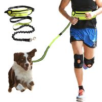 Supplies Dog Leash Running Hand Freely Harness Collar Jogging Lead Adjustable Waist Bag Leashes Traction Belt Rope Movement