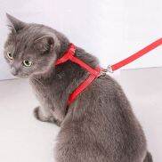 Dangstora dây đeo nylon Dây đồ dùng cho chó mềm chó nhỏ mèo ngoài trời cổ