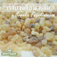 เม็ดกำยานโซมาเลีย (Somalia Frankincense Resin) มีกลิ่นหอมเด่น ใช้สำหรับจุดเพื่อดมกลิ่นหรือสำหรับแช่น้ำมัน(แบบหุงสมุนไพร)