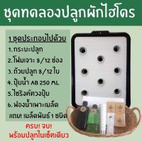 ?โปรสุดคุ้ม [มือใหม่] ชุดทดลองปลูกผักไฮโดรโปนิกส์ กระบะดำ 8 ช่อง อุปกรณ์ปลูกครบจบพร้อมปลูก ปลูกผักไฮโดรโปนิกส์ บริการเก็บเงินปลายทาง