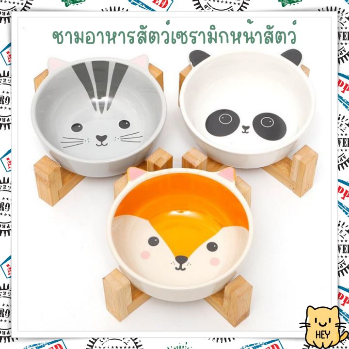 ชามเซรามิก-ฐานไม้-หน้าแมว-แรคคูน-แพนด้า-ชามอาหารสัตว์เลี้ยง-ชามอาหารแมว-สุนัข