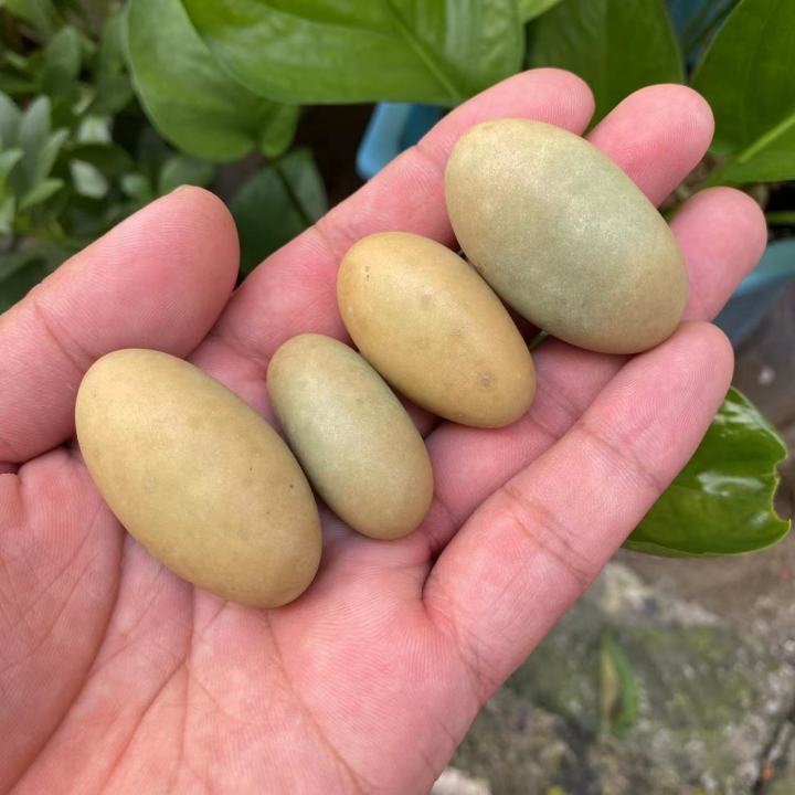 หินธรรมชาติส่องสว่างหินวงรีอัญมณีดิบเรืองแสงในหินมืดคริสตัลหินหยาบตัวอย่างการรักษาแร่ธาตุ