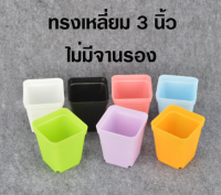 กระถางพลาสติก 3 นิ้ว กระถางทรงสี่เหลี่ยม กระถาง สีพาสเทล (ไม่มีจานรอง) ชุด 5 ใบ คละสี