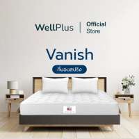 Wellplus [ส่งฟรี] ที่นอนสปริง รุ่น Vanish หนา 9 นิ้ว  สปริงคุณภาพ ลดแรงสั่นสะเทือนขณะนอนหลับ แถมฟรีหมอนหนุน