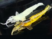 10pcs/lot 10cm/6.5g Large shrimp bait luminous bionic simulation fake soft bait lures bait shrimp