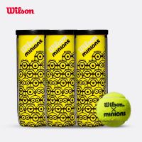 Genuine Prince Wilson Babolat Wilson Wilson Minion Tennis Co-branded Training Game Tennis Glue Cans 3 Pieces Pack WR8202401