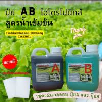 ปุ๋ย AB ไฮโดรโนิกส์ ใหม่ !!! Super GroW-โตเร็ว ขนาด 1 ลิตร 2 แกลลอน A+B และขนาด 250ml แถมฟรี โฟมน้ำ24ช่อง1แผ่น  ร้าน AB ไฮโดรโปนิกส์1