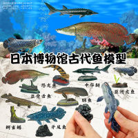 ? Sile Toy Store~ Japan Colorata Authentic Ancient Fish Museum Ancient Fish Marine Life Collection