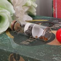 Y1UU Empty Clear Glass Bottle Lucky Wishing Bottles with Cork Stopper Party Favor