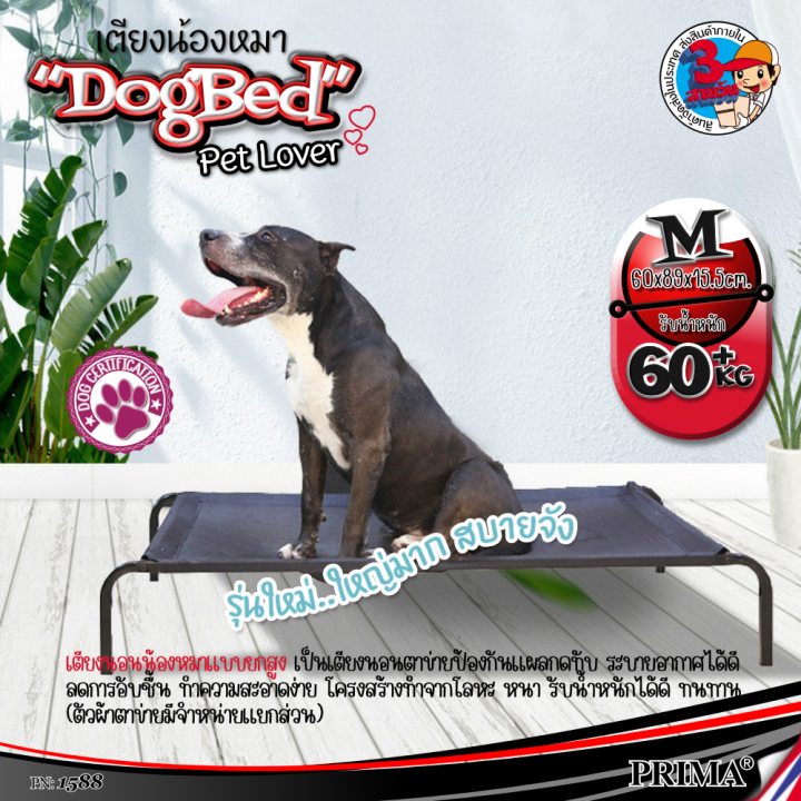 elevated-dog-bed-เตียงสุนัขพร้อมตาข่าย-ที่นอนหมา-เปลสัตว์เลี้ยง-ที่นอนสุนัข-ที่นอนสัตว์เลี้ยง-ที่นอนหมา-เตียงแมว