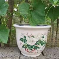 [COD] Heavy flowerpot ceramic flower wholesale stage desk basin contracted rural