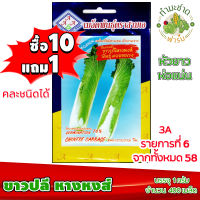 (ซื้อ10แถม1) เมล็ดพันธุ์ ขาวปลี หางหงส์ Chinese Cabbage ประมาณ 400เมล็ด 3A สามเอ ผักสวนครัว เมล็ดพันธุ์พืช เมล็ดผัก เม็ดผัก พืชผัก