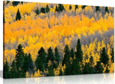ต้นไม้สีเหลืองฤดูใบไม้ร่วงธรรมชาติพิมพ์รูปภาพศิลปะบนผืนผ้าใบสำหรับติดกำแพง