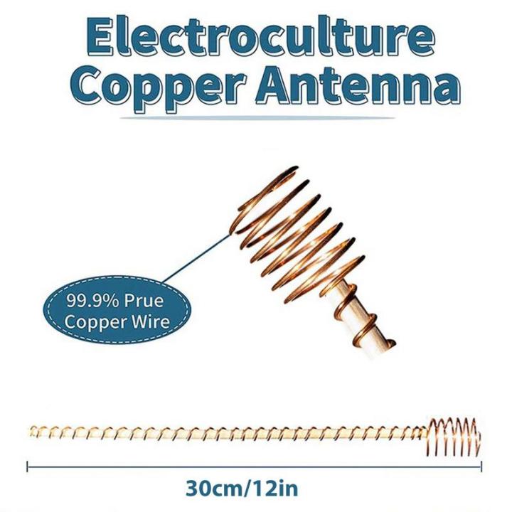 สวนเดิมพัน-electroculture-สวน-sticks-ใช้-ether-พลังงาน6ชิ้นพืชเดิมพันและสนับสนุนสำหรับการปลูกพืชสวนมะเขือเทศ