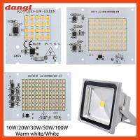 DANGL 10W 20W 30W 50W 100W ชิปแอลอีดี อินพุต220V เอสเอ็มดี2835 ลูกปัดโคมไฟไดรเวอร์ฟรี ของใหม่ พลังงานสูงกำลังสูง ลูกปัดไฟฟลัดไลท์ ไฟสปอตไลท์กลางแจ้ง