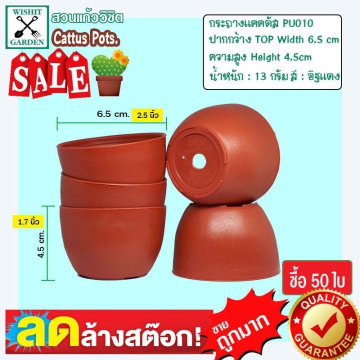 กระถาง-pu010-ขนาด-2-5-นิ้ว-สีอิฐแดง-50-ใบ-กระถางกระบองเพชร-กระถางปลูกต้นไม้-เนื้อพลาสติกแน่นหนาทนทาน-ราคาถูก-กระถางแคคตัส-กระถางกระบองเพชร