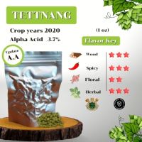 Tettnang Hops (1oz) Crop years 2020 (บรรจุด้วยระบบสูญญากาศ)