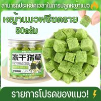 【BIRR】หญ้าแมวฟรีซดราย 50g หญ้าแมวอบแห้ง ต้นอ่อนข้าวสาลี สามารถช่วยกําจัดขนได้ ขนมสัตว์เลี้ยง