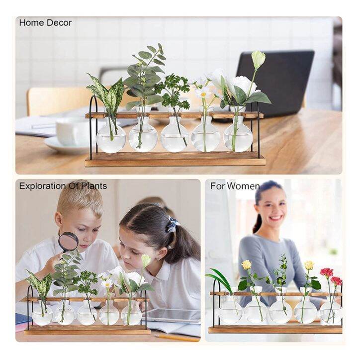 plant-propagation-station-with-wooden-stand-plant-terrarium-desktop-propagation-stations-air-planter-bulb-glass-vase