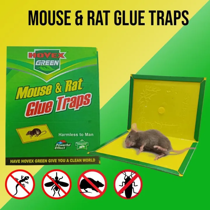 Mouse Rat Glue Trap Rodent Rat Glue sticker mice board Insect Baits ...