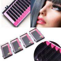 3D Volume Individual Blink Tray Lash B C D J Curl False Eyelash Extension