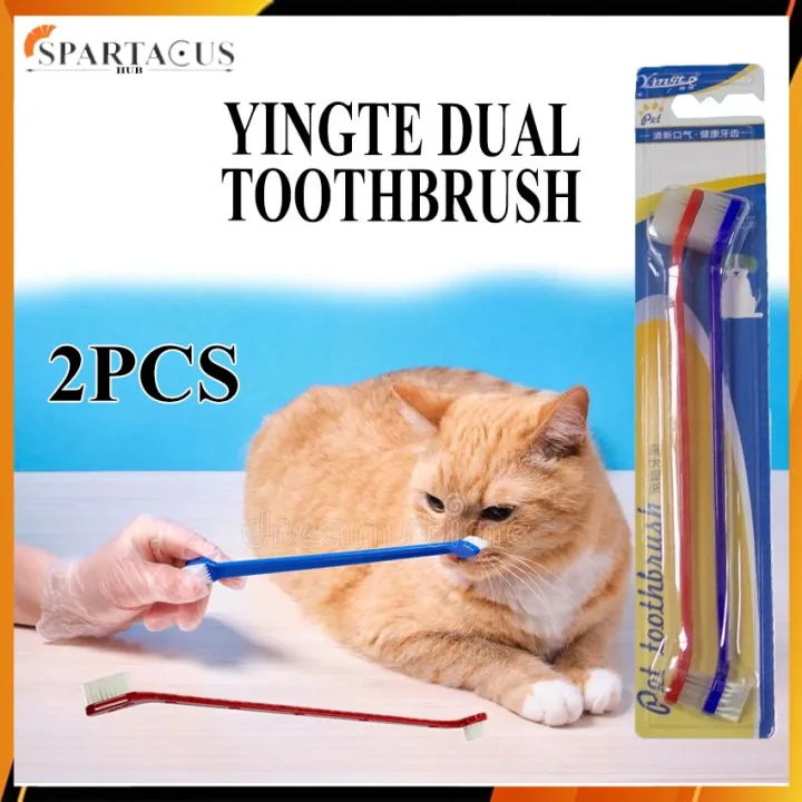 Cat Toothpaste Dental Hygiene For Your Pets Cat Toothpaste 75g / Yingte